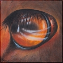 Augenblick eines Hirsches; Acryl auf Leinwand;
30 x 30 cm